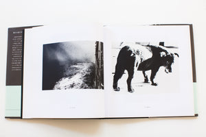 NIHON NO SHASHIN KA 37 | JAPANESE PHOTOGRAPHER 37