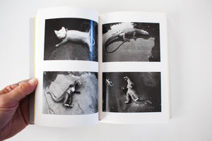 The Works of Nobuyoshi Araki 20 | Sentimental May