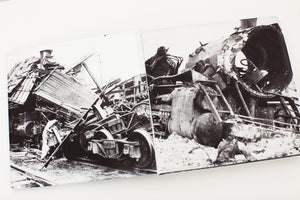 MARIANNE VITALE | TRAIN WRECK