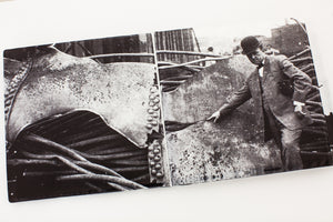 MARIANNE VITALE | TRAIN WRECK