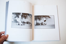 Load image into Gallery viewer, TRI-X NOISE