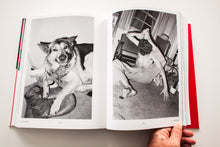 Load image into Gallery viewer, WHO IS MICHAEL JANG?