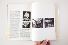 Load image into Gallery viewer, Weegee&#39;s Creative Camera