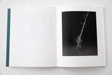 Load image into Gallery viewer, SLEEP CREEK