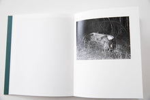 Load image into Gallery viewer, SLEEP CREEK