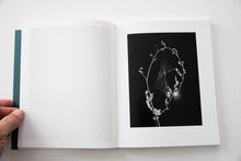 Load image into Gallery viewer, SLEEP CREEK